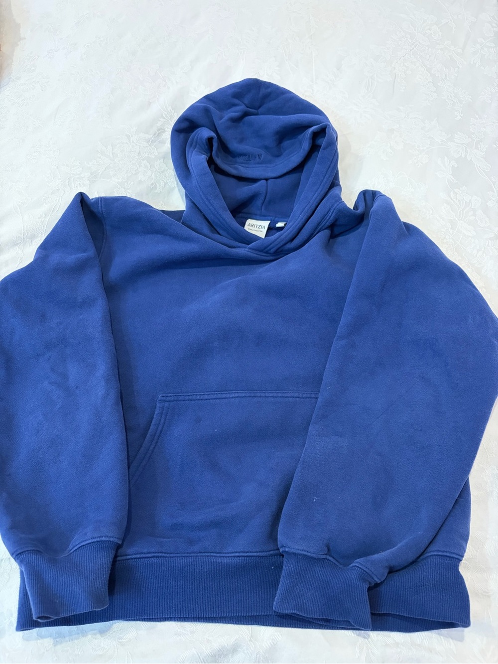 Aritzia Sweatfleece Perfect Fit hoodie